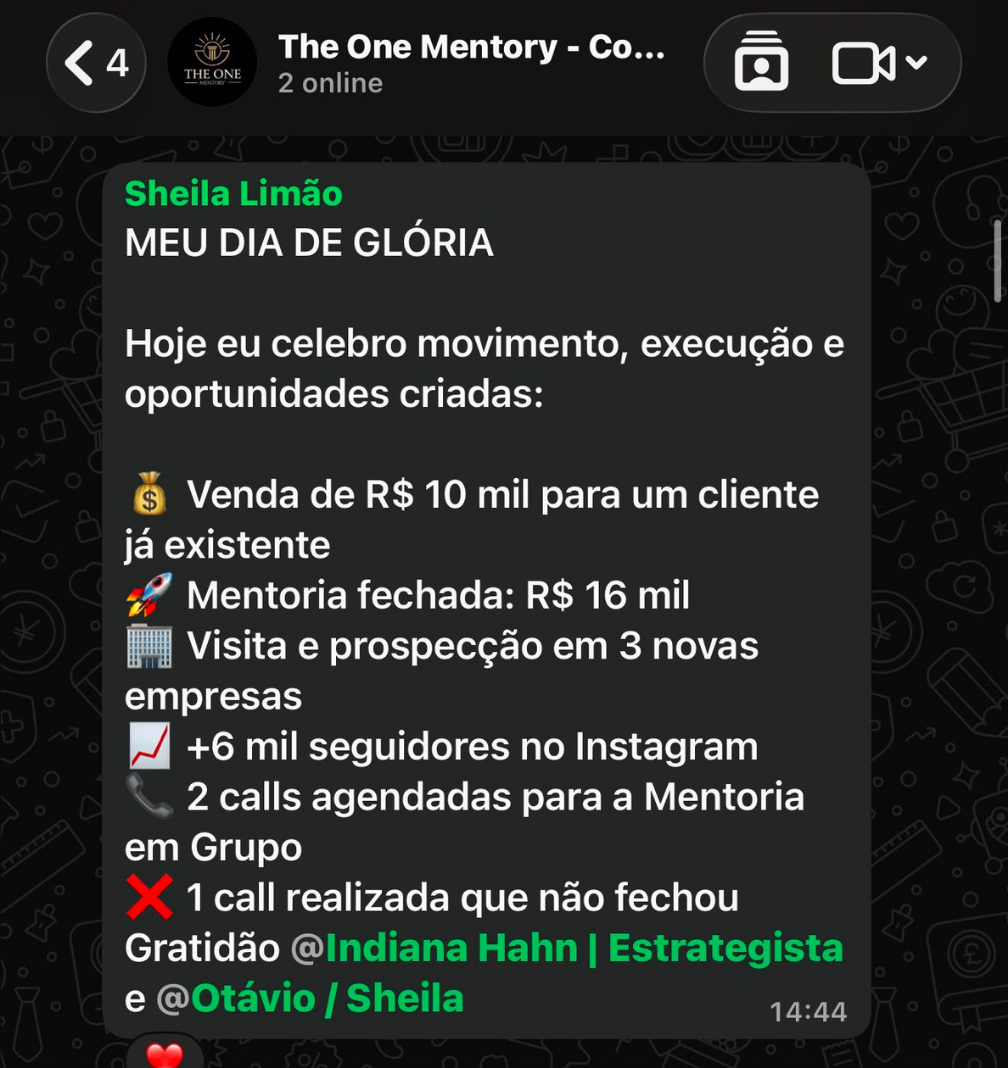 Depoimento de mentora - print de conversa
